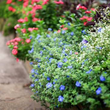 container gardening