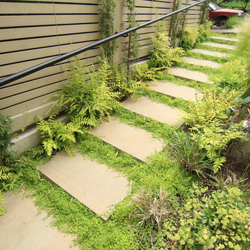 Cut Pioneer Patio, Steps and Walkway
