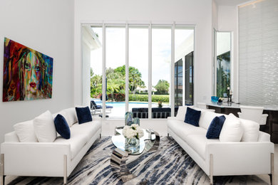 Inspiration for a mid-sized modern living room remodel in Other