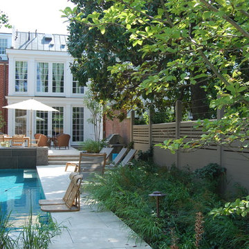 Courtyard Garden