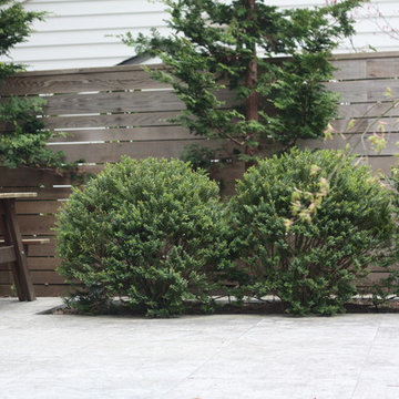 Willowcreek Garden