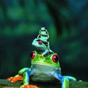 Andrea Gardner's photo