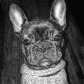 Greg Melton's photo
