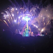 Sonia C's photo