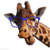 Foto von GiraffesFTW .