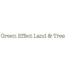 Green Effect Land and Tree