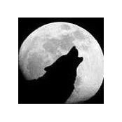 Al Walker Jr.'s photo