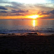 Diane Tatum's photo