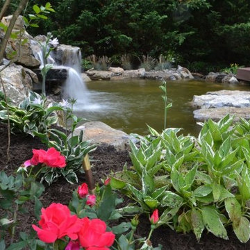 Landscaping with Red Roses (Long Island/NY):