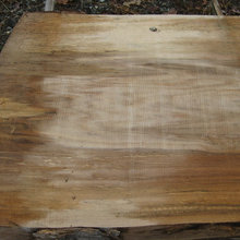 Sycamore Slab