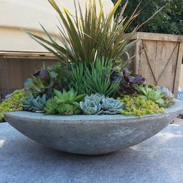 La Jolla Project