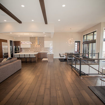 Eagles Landing - Modern Walkout Rambler -Saint Augusta, Mn