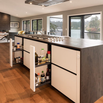 Lake Oswego - Lake Front Residence