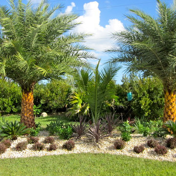 Front Yard/Back Yard/Pool Landscapes