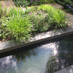 Canonbury - Updated garden with new fish pond