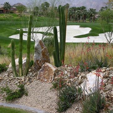 Pool, Spa, Deck and Landscape Remodel