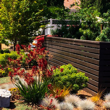 Master Suite Privacy: A Front Yard Transformed
