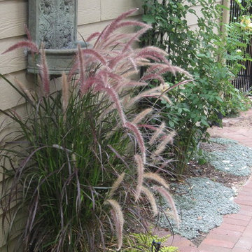Water Features