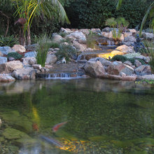 Landscape Professionals
