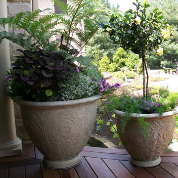 Container Gardening