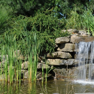 Theme Garden