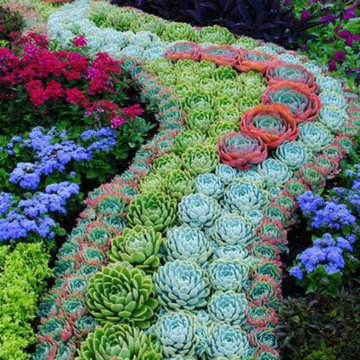 Interior & Exterior Environmental Designs