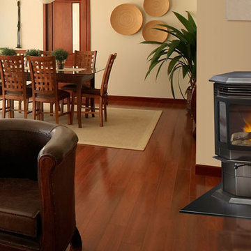 Pellet Stoves Eco friendly Green Living Heat