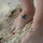 webuser_1786772