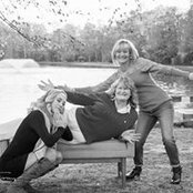Darlene Seay-Carpenter's photo