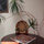 webuser_72262749