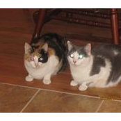 Suzanne Hall's photo