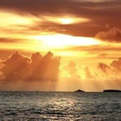 Maxine Lane's photo