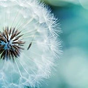 Lynn Maher's photo