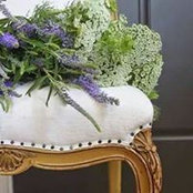 Stefania Bonato's photo