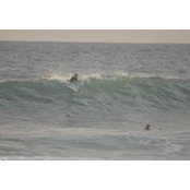 El e hum's photo