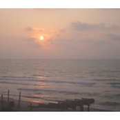 Patty Jensen's photo