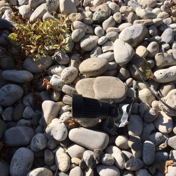 Before Photos of Our Landscape Lighting Projects