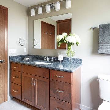 Wauwatosa Main Bathroom