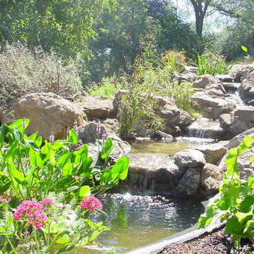 Ponds