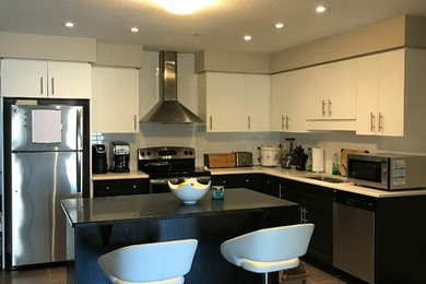 Kitchen - contemporary kitchen idea in Toronto