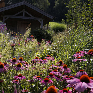 Perfekte Symbiose aus altem Bestand und neu angelegtem Areal