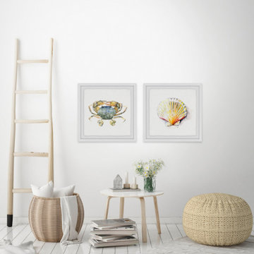Crab and Sea Shell Diptych