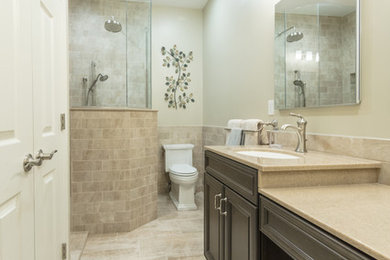 Bathroom - traditional bathroom idea in St Louis