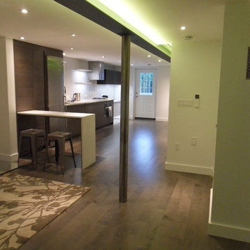 Modernization of a ground floor aprtment