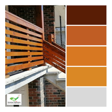 Variety of Color Palettes