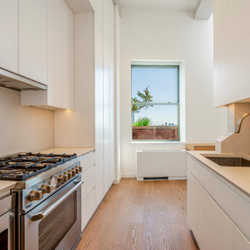 Financial District Apartment Remodel