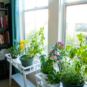 Apartment for Under $3,000