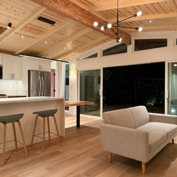 Living Room / Kitchen