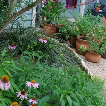 Cozy Austin Garden