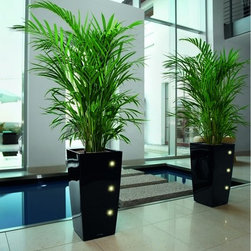 Modern Planter - Products